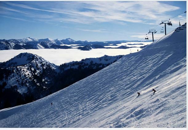Schweitzer2