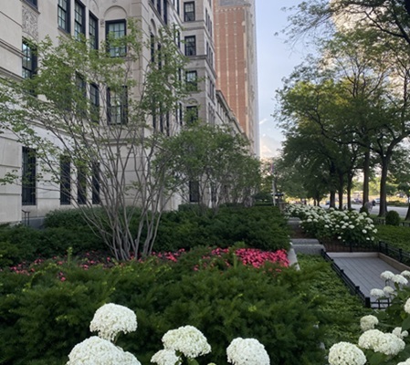 Flowers in front of a building
