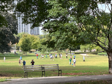 Children playing in a field