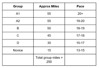 Bike250PaceGroups