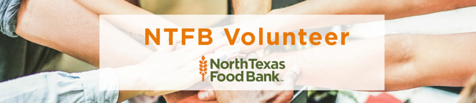 ntfbVolunteer
