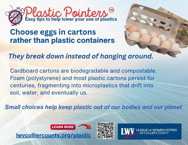 Egg cartons plastics vs paper