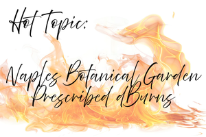 Hot Topic Prescribed Burns