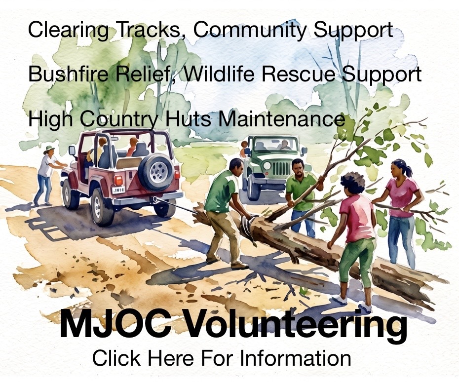 Volunteering Graphic