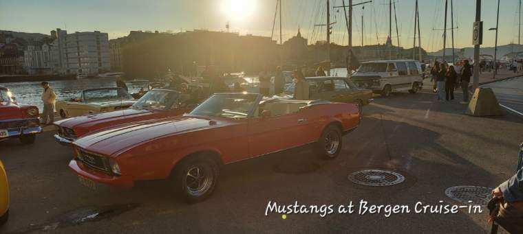 Mustang
