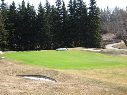 Healthy Glendale green every spring since the airflow fix