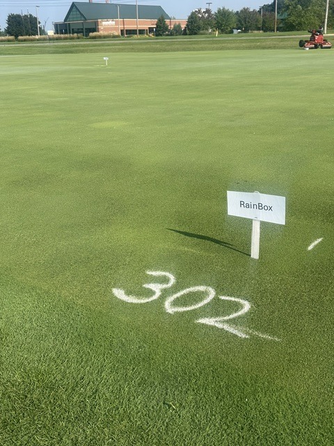 RainBox research plot marker at MSU Hancock Turf Research Center