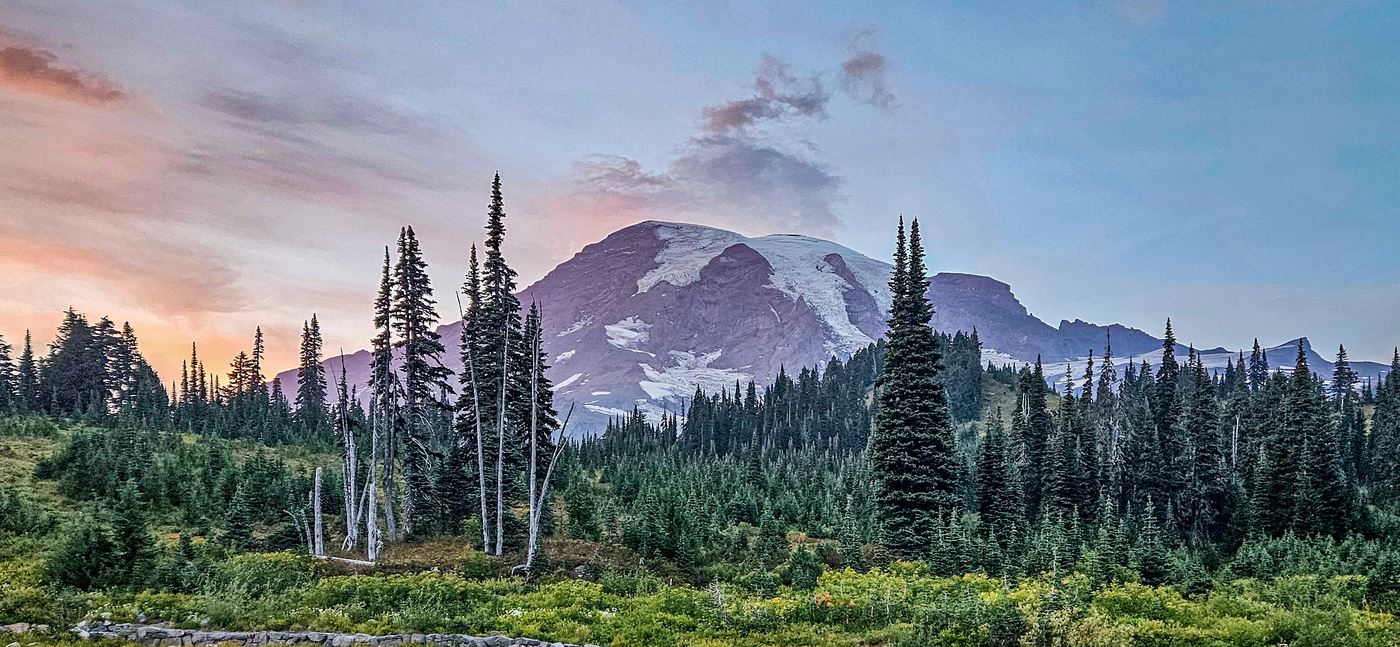 Great PNW Cathy D 2025-1