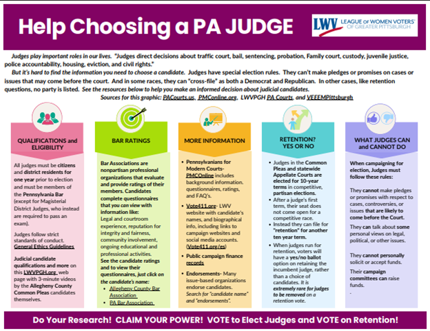 Flyer titled "Help Choosing a Judge"