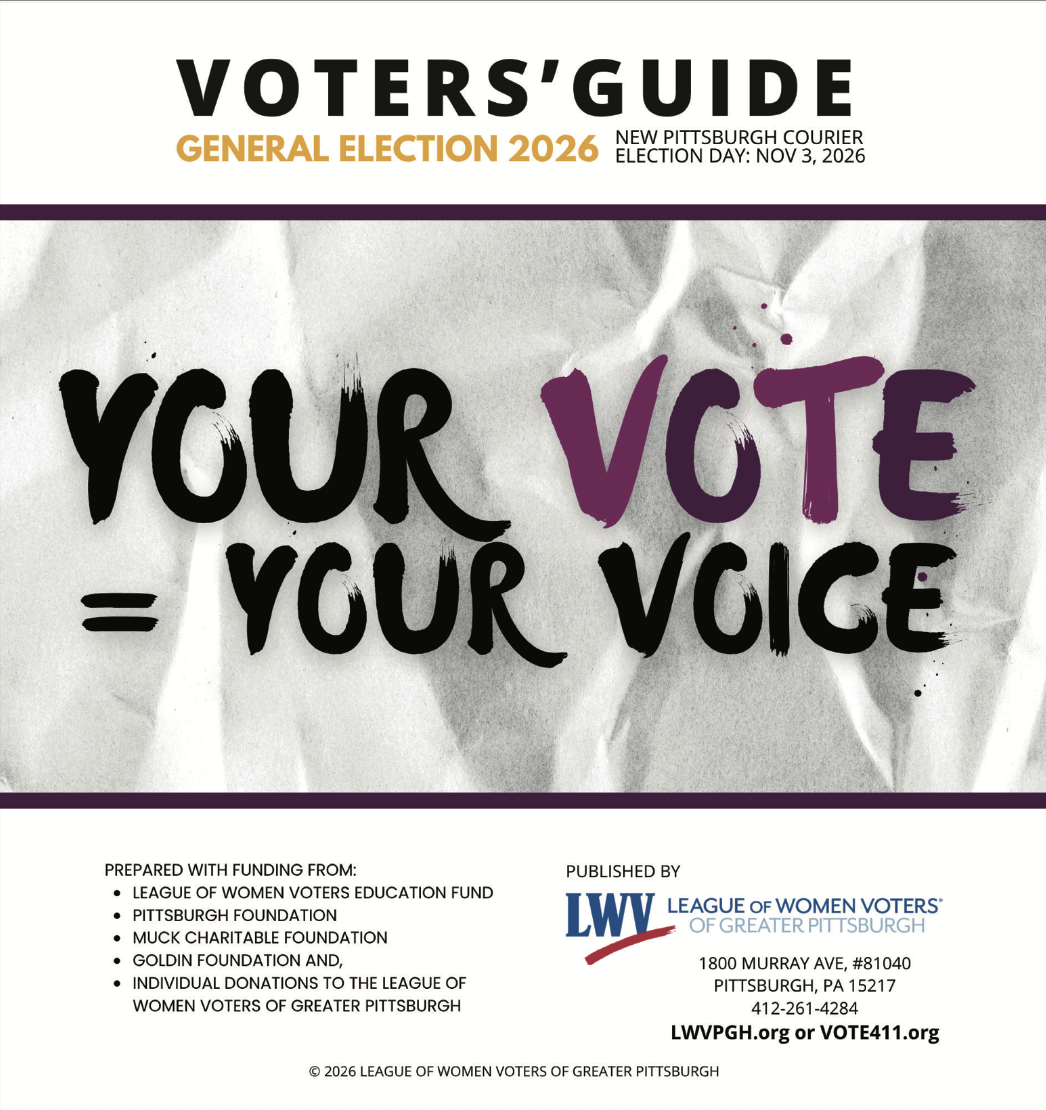 N26 Voters Guide thm