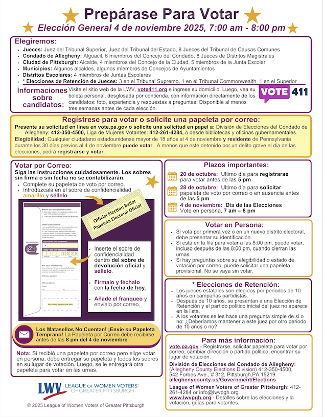 Preparese Para Votar N25 thm