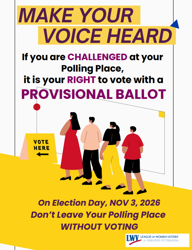 Provisional Ballot Flyer 2026
