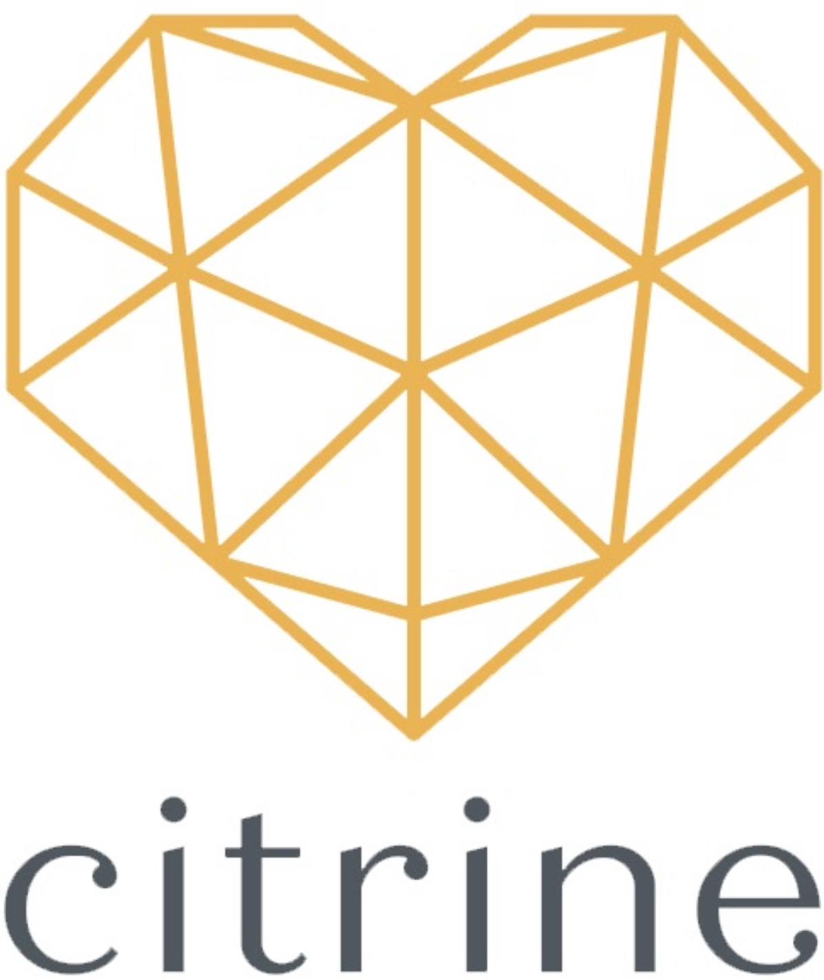 Community Partner_Citrine2