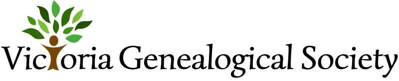 VGS Horizontal Logo Simonetta 800x163x300