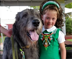 wolfhound and girl
