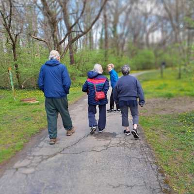 Walking Group From Behind