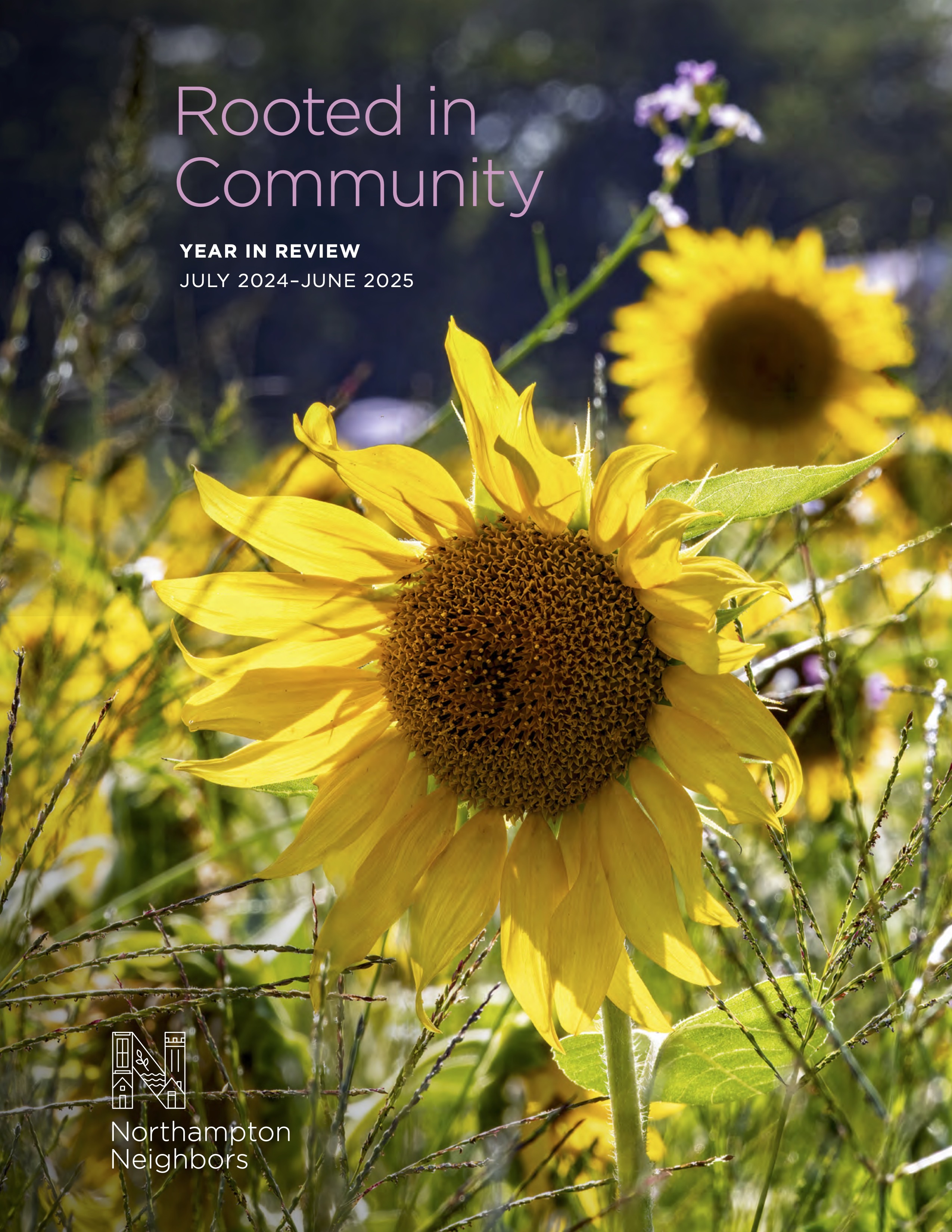 NN Year in Review 2025