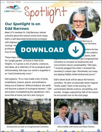 October Spotlight Cover