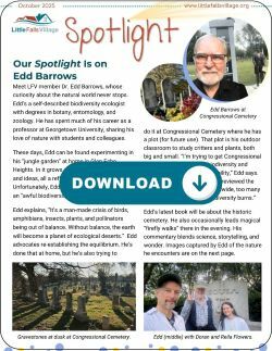 October Spotlight Cover