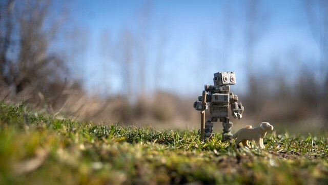 toy photography