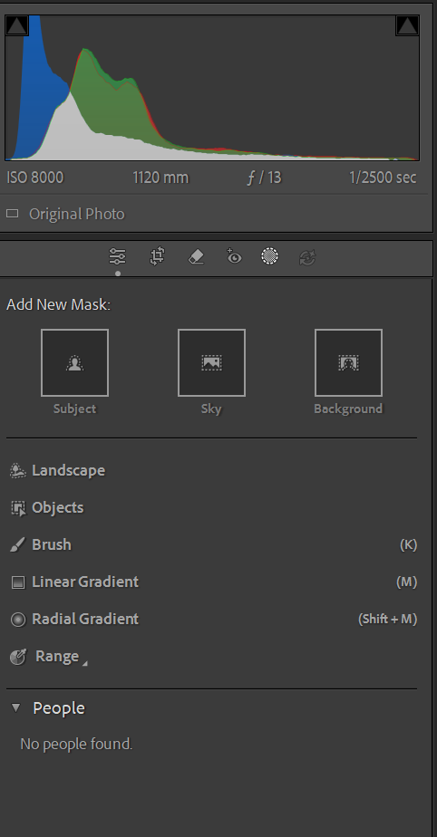 Lightroom Masking Panel