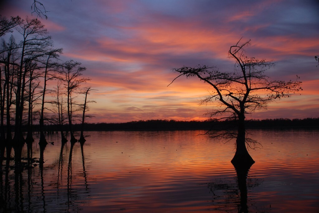 Reelfoot Outing