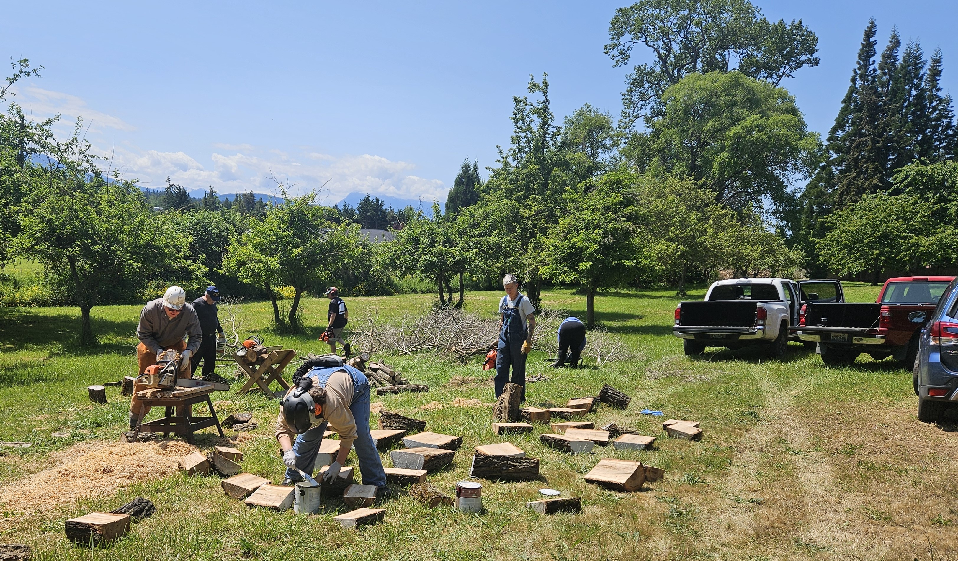 Wood cutting adventure