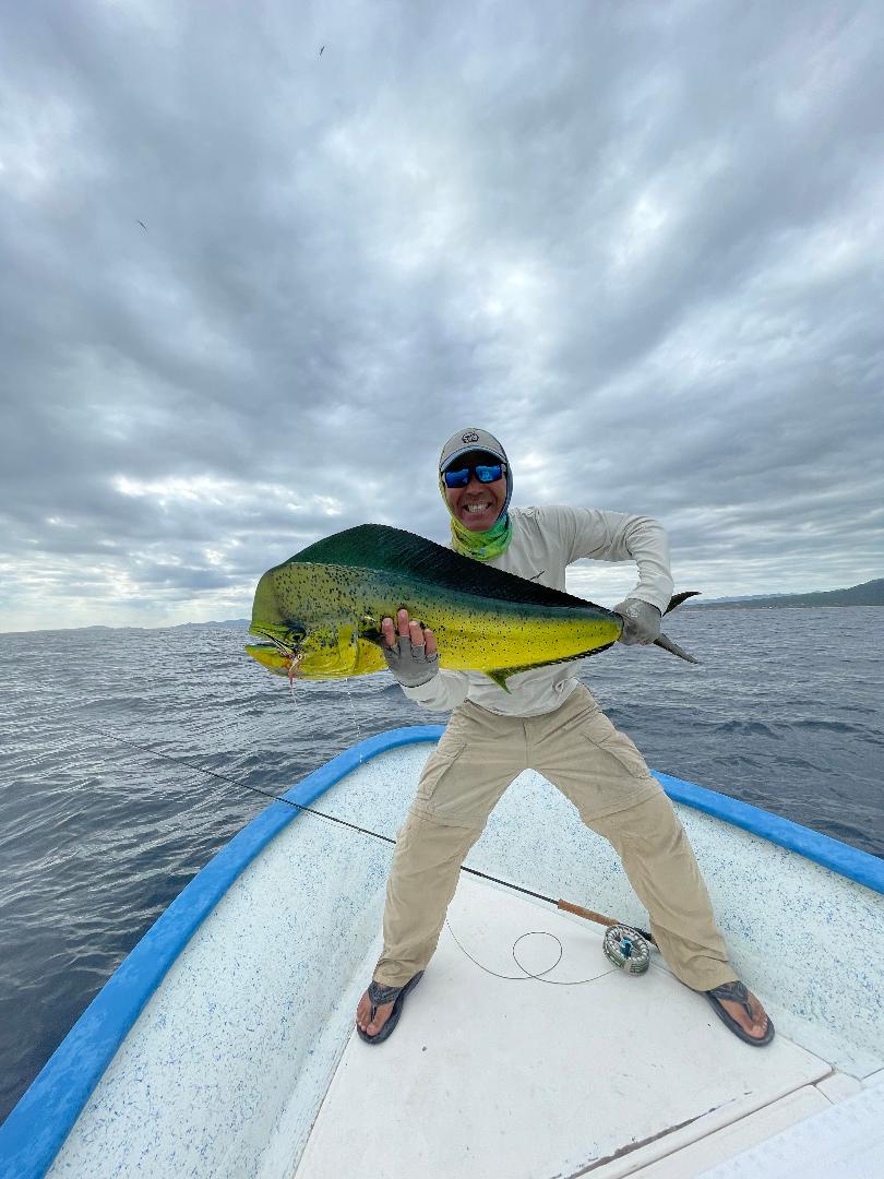 Greg Takata's Dorado