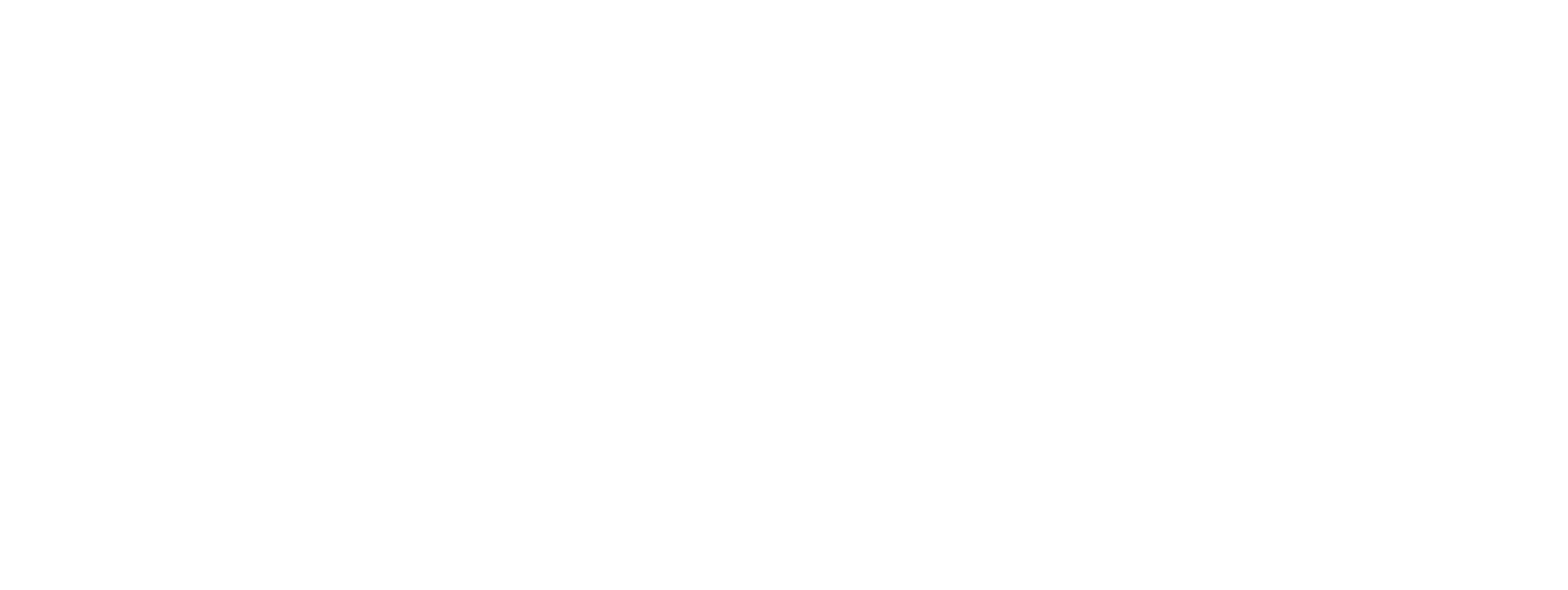 ICF_MetroDCCharterChapter_Horizontal_RGB_White.png