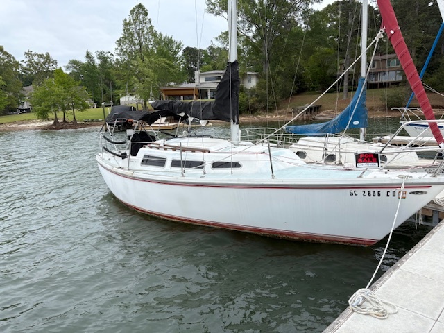 Cat27-1.jpg