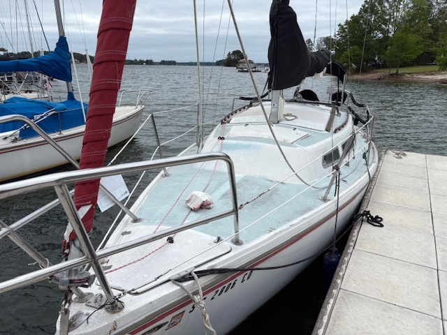 Cat27-2.jpg