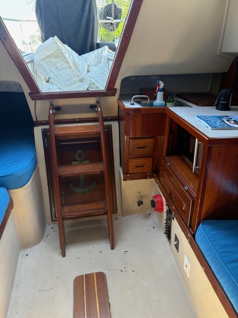 Cat27-3.jpg