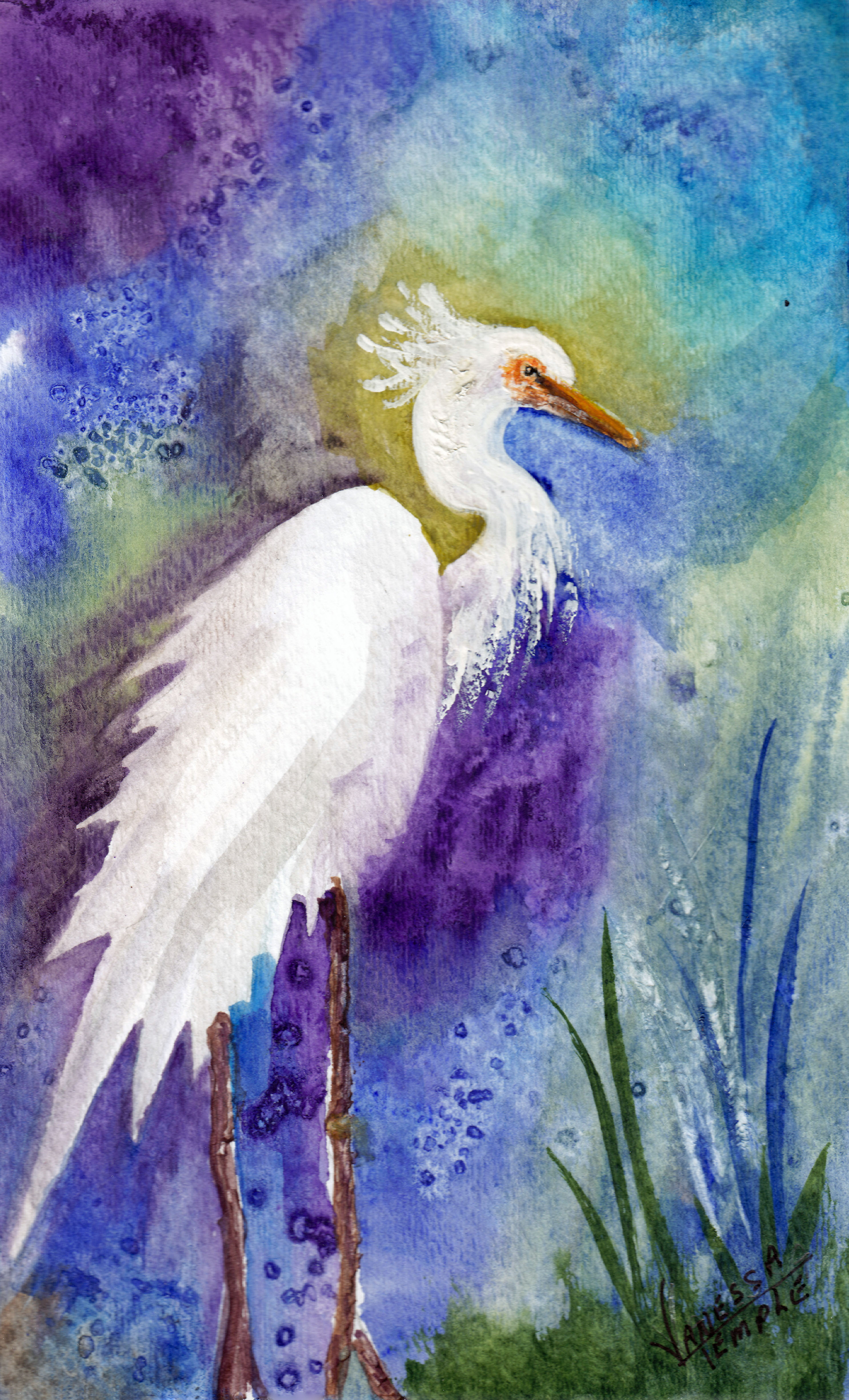 PPP-Shore_Bird.jpg