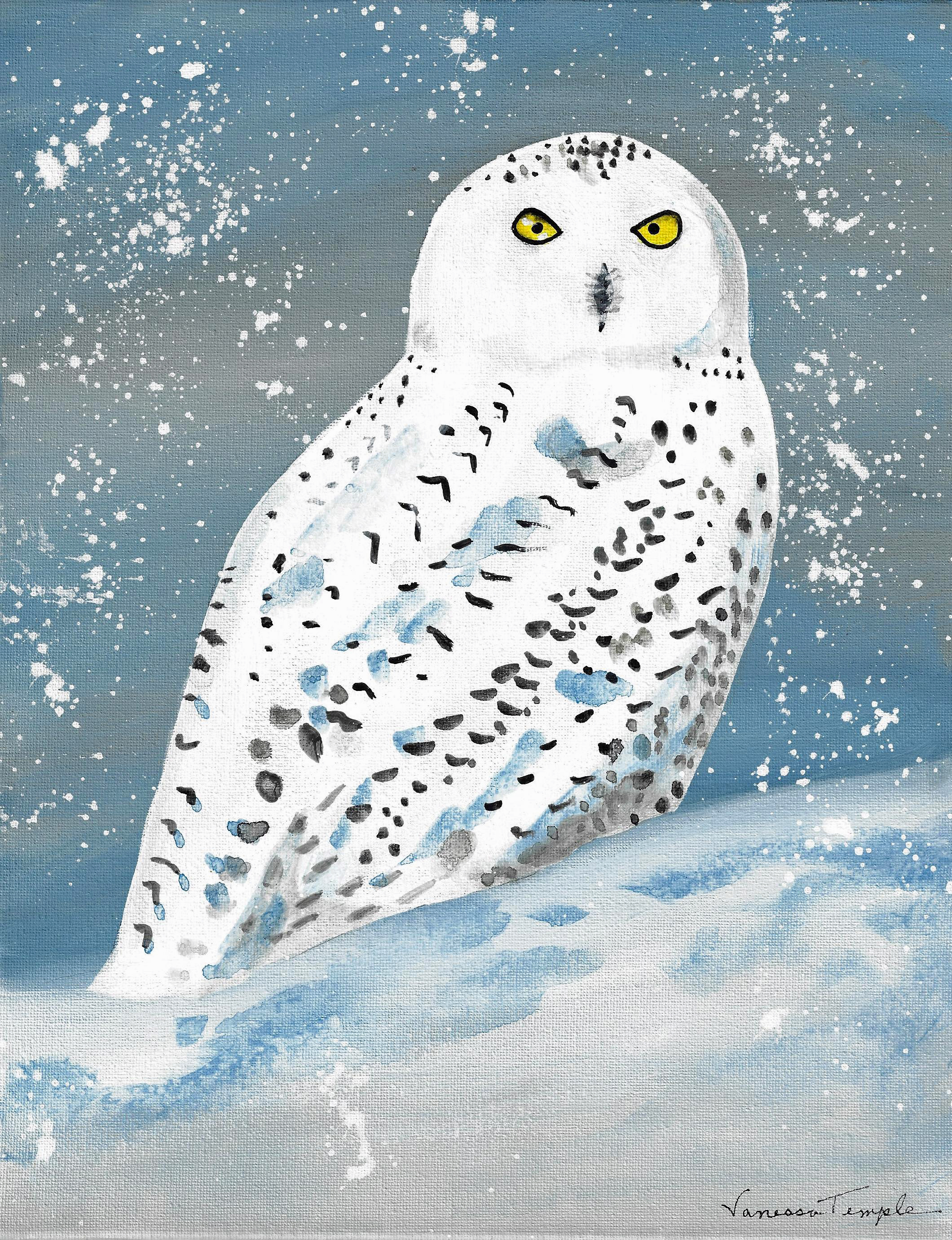 Snowy_Owl_by_Vanessa_1737806284.jpg