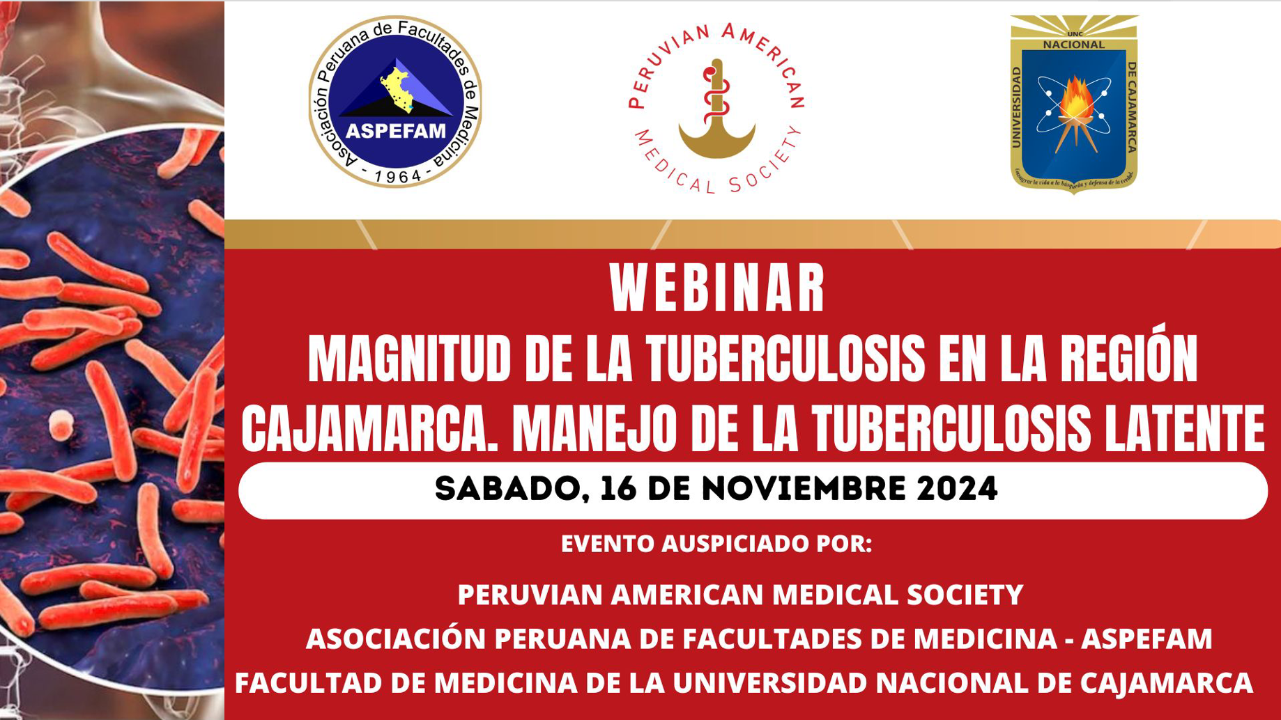 Webinar-2024-Tuberculosis.png
