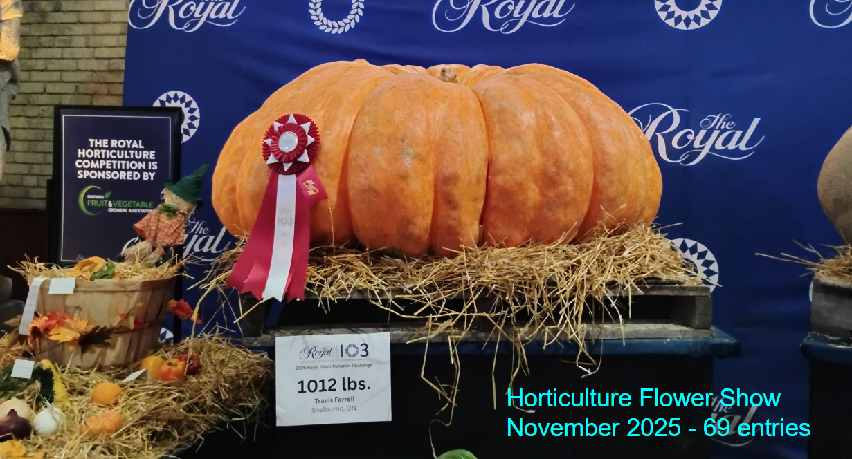 2025-Nov Hort Flower Show Photo