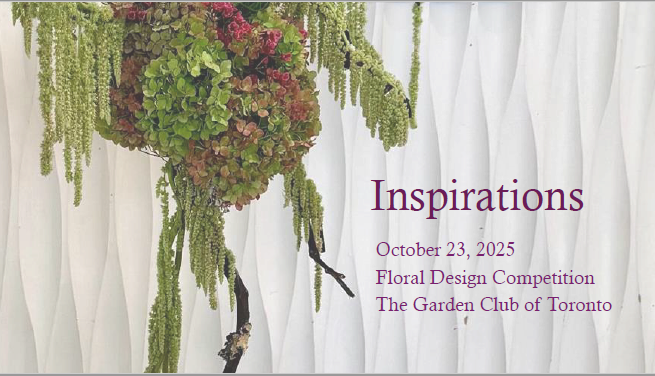 2025 Oct FD Competition Cover Page