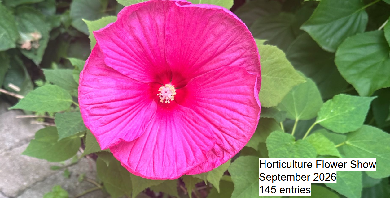 2026-Horticulture Competition-September-Cover Image