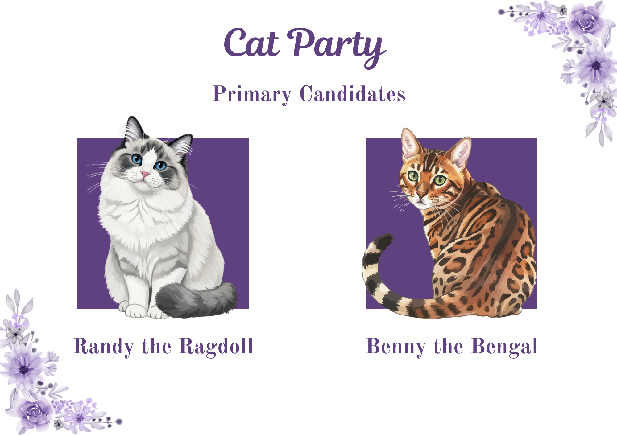 Cat Primary Flyer
