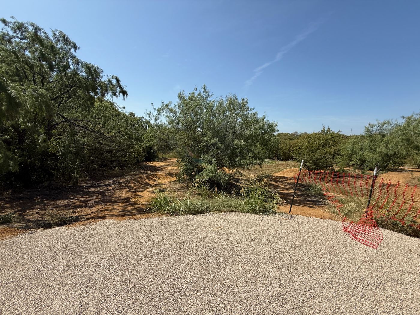 New singletrack through the brush