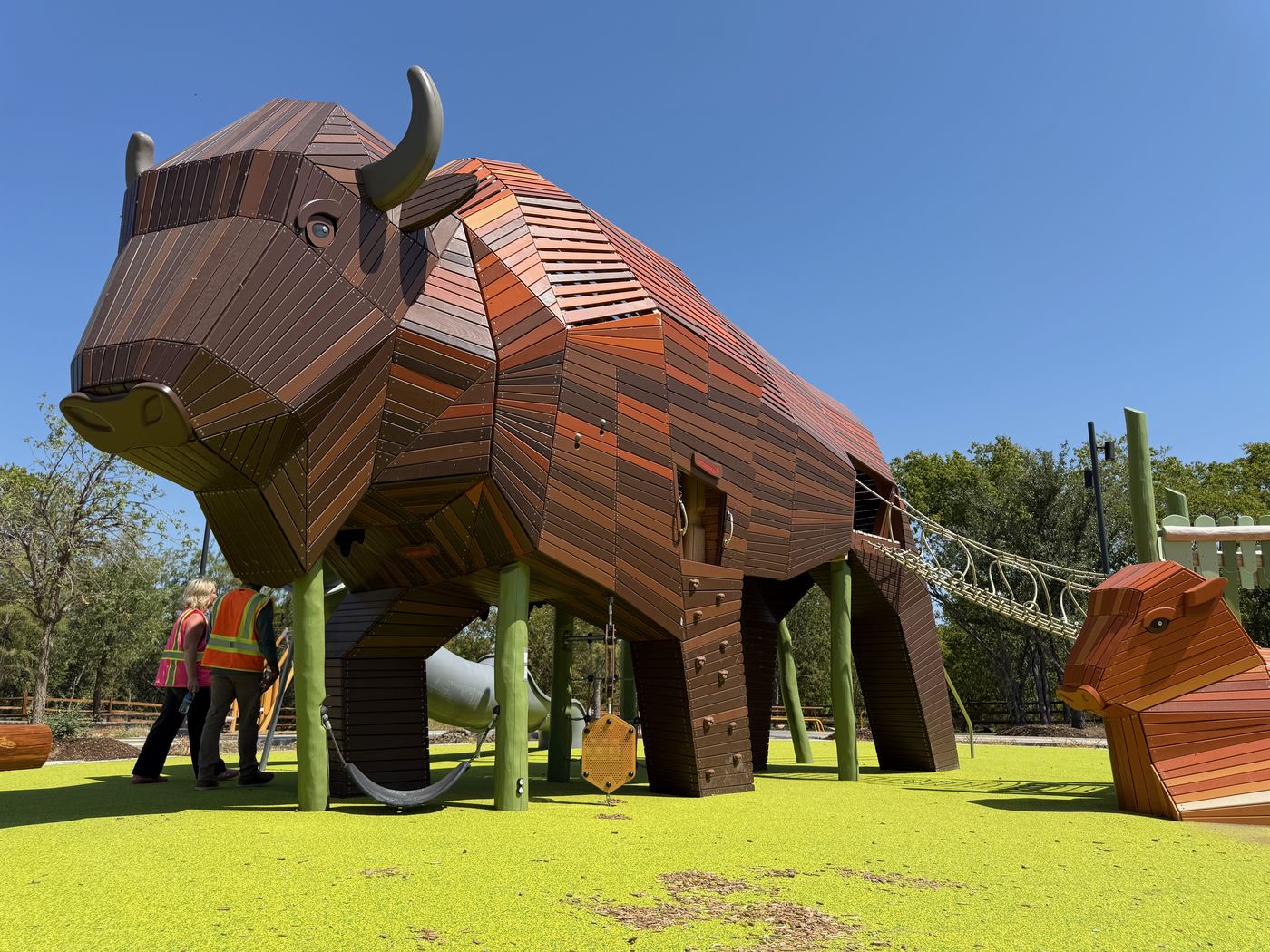 The bison at Northwest Community Park