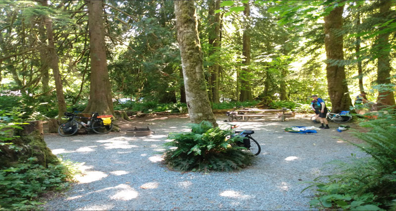 Bikepackers set up camp in the trees