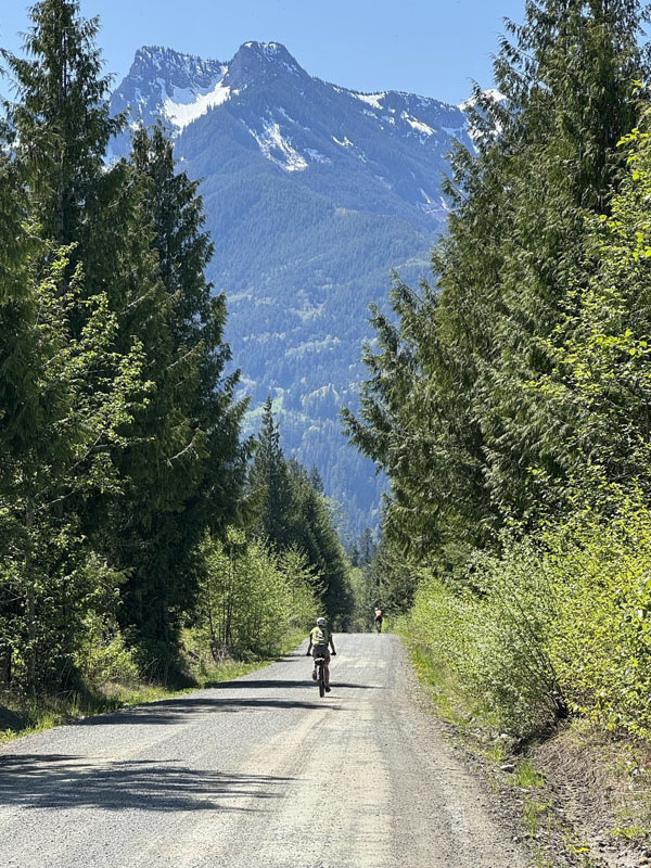 a cyclist rides down a gravel road in the forest of British Columbia