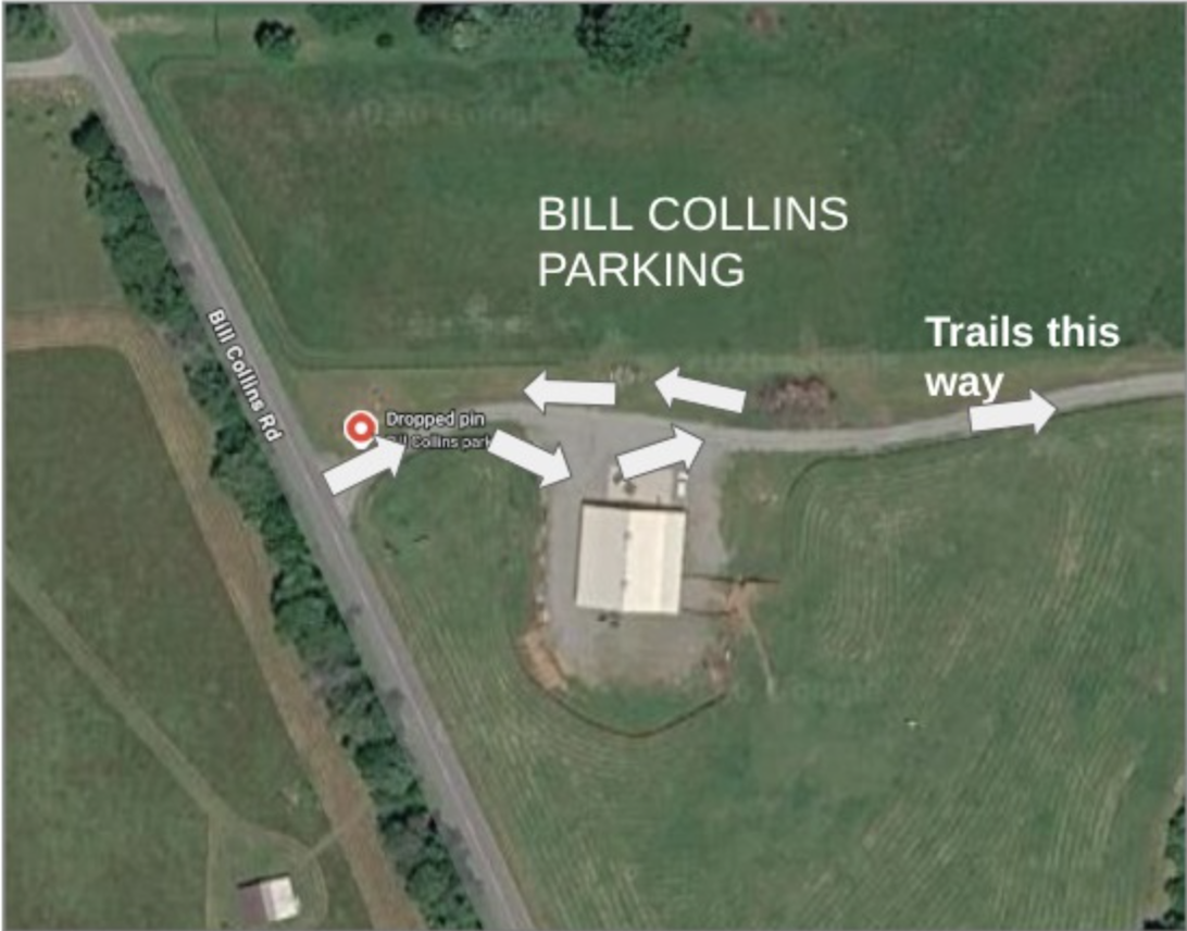 New Bill Collins