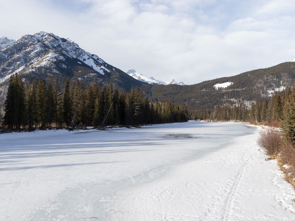 The Bow River near downtown Banff