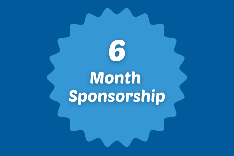 6 MONTH SPONSORSHIP