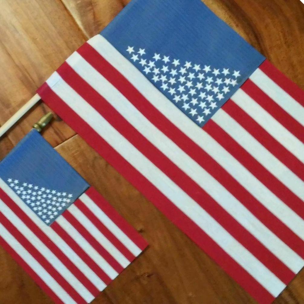 【希少】未使用mountain researchFirst model FLAG Amazon.com : POOEDSO Fallout Enclave Flag 3x5 Ft Double