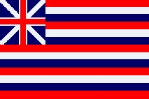 USS Lexington Ensign