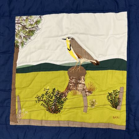 Western Meadowlark, state bird