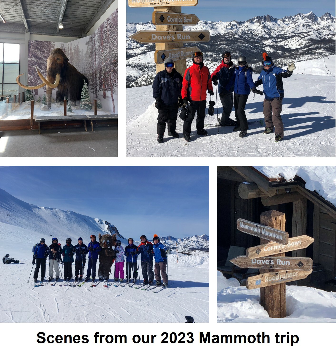 2023_Mammoth_Collage.jpg